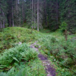 ...und weiter © Gipfelfieber