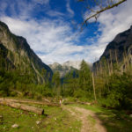 Der Wald lichtet sich © Gipfelfieber