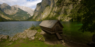 Hirschbrunft an der Wasseralm: Röhrende Septembernächte © Gipfelfieber