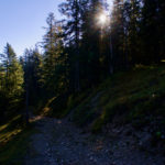 Im Ammerwald © Gipfelfieber