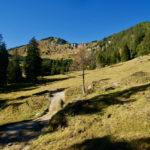 Der Ochsenälpeleskopf ruht über der Alm © Gipfelfieber