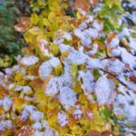 Herbst küsst Winter © Gipfelfieber