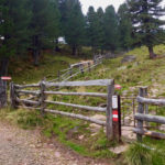 Abzweig vom Forstweg © Gipfelfieber