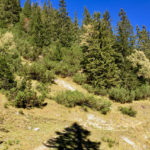 Unscheinbarer Abzweig © Gipfelfieber