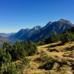 Blick über den Ammerwald © Gipfelfieber