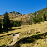 Ochsenälpelekopf & Kreuzkopf: Stille Gipfel über dem Ammerwald © Gipfelfieber