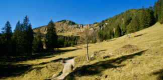 Ochsenälpelekopf & Kreuzkopf: Stille Gipfel über dem Ammerwald © Gipfelfieber
