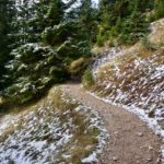 Aufstieg im Wald © Gipfelfieber