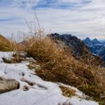 Gräser wehen im Wind © Gipfelfieber