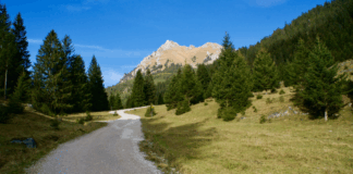 Bergwanderung zum Aggenstein: Windige Aussichten © Gipfelfieber