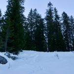 Im Wald © Gipfelfieber