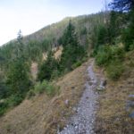 Durch lichten Wald © Gipfelfieber