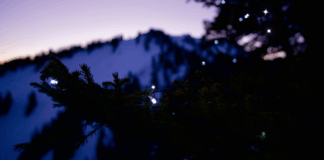 #Outdooradvent: Wie die Krettenburg zum Weihnachtsbaum kam © Gipfelfieber