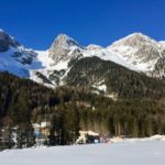 Zurück zur Arena © Gipfelfieber