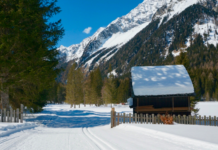 Am Antholzer See: Langlaufparadies mit Kitsch-Garantie © Gipfelfieber