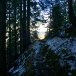 Aufstieg im Wald © Gipfelfieber