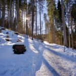 Im Wald © Gipfelfieber