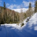 Aufstieg zum Falkerthaus © Gipfelfieber