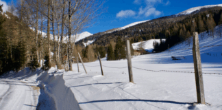 Nockberge ohne Ski: Einkehrschwung im Falkerthaus © Gipfelfieber