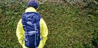 Männer, die auf Hecken starren