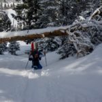 Hindernislauf © Gipfelfieber