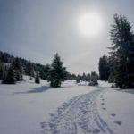 Am Amselboden © Gipfelfieber