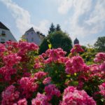 Kloster auf der Fraueninsel © Gipfelfieber