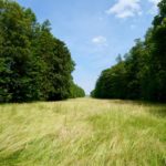 Wandern auf Herrenchiemsee © Gipfelfieber