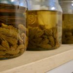 Eingelegte Fichtenspitzen © Gipfelfieber