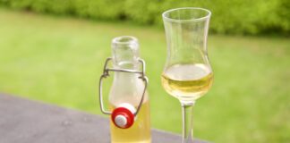 Selbst gemachter Fichtenspitzen Likör: Wald zum Trinken © Gipfelfieber