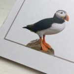 Ein Papageitaucher darf nicht fehlen © Gipfelfieber