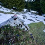 Letzter Schnee © Gipfelfieber