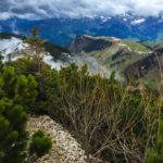 Durch Latschen-Korridore © Gipfelfieber