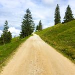 Der Wald lichtet sich © Gipfelfieber