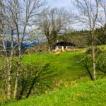 Die Talalm © Gipfelfieber