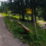 Forstweg zum Geigelstein © Gipfelfieber