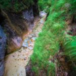 Über der Almbachklamm