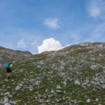 Grüne Wiesen prägen diesen Teil © Gipfelfieber