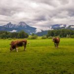 Watzmann in Woken © Gipfelfieber