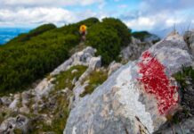 Verlosung: Mit Gipfelfieber zur Biolectra 24 h-Trophy in Berchtesgaden Den Markierungen folgend © Gipfelfieber