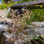 Frisches Quellwasser an der Kasereggkapelle © Gipfelfieber