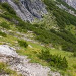 Flüchtende Gams © Gipfelfieber