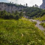 Durch Latschen © Gipfelfieber