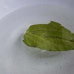 Die Nadel zeigt nach Norden © Gipfelfieber