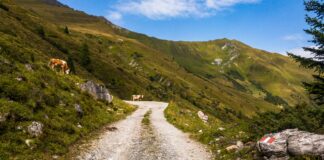 Wo das Zillertal zur Ruhe kommt: Almwandern zur Stoankasern © Gipfelfieber
