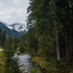 Gemütlicher Weg zum Bodensee © Gipfelfieber