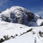 Auf der Reiteralpe © Gipfelfieber