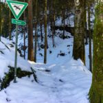 In den Wald hinein © Gipfelfieber