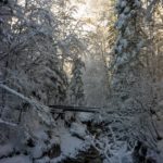 Watzmann hinter dem Eisgraben © Gipfelfieber