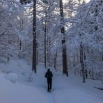 Durch den Schnee © Gipfelfieber